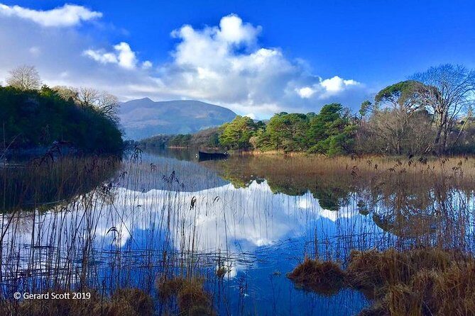 Luxury Photography Day Tour on Dingle Peninsula - Fully Guided and Chauffeured - Food isn’t included: the small planning step that keeps the day enjoyable