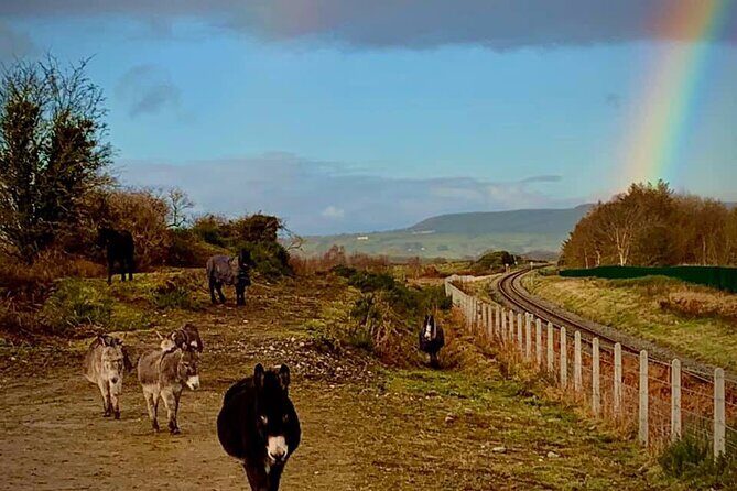 Luxury Photography Day Tour on Ring of Kerry and Skellig Ring - Fully Guided and Chauffeured - Stop-by-stop: what you should expect to shoot and why it matters