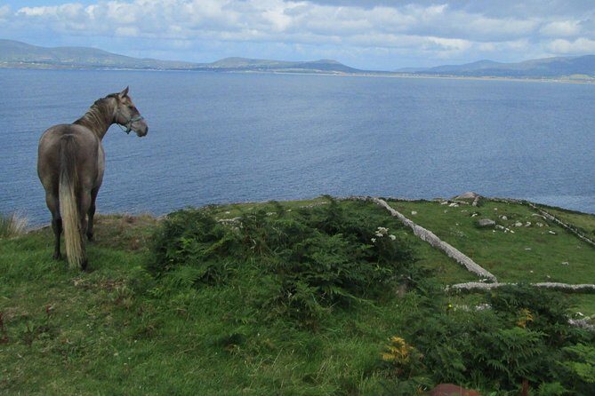 Luxury Photography Day Tour on Ring of Kerry and Skellig Ring - Fully Guided and Chauffeured - Transportation details that make a big difference on a photo day