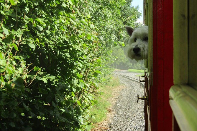 Oakfield Park Day Pass and Train Ride - Oakfield Park’s vibe: calm walking with a built-in “wow” factor