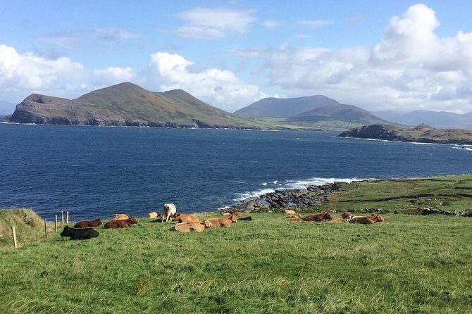Off the beaten Path Private Tour of Ring of Kerry - Portmagee for food: a real break, not just a roadside stop