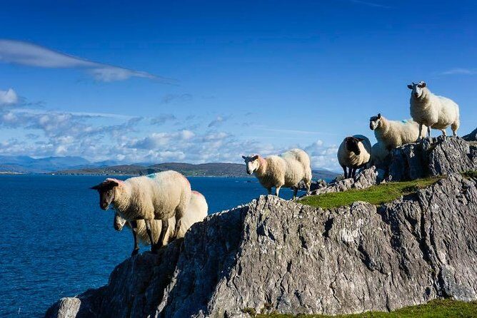 Off the beaten Path Private Tour of Ring of Kerry - Ballinskelligs beach photos: salty air, quick stretch, big payoff