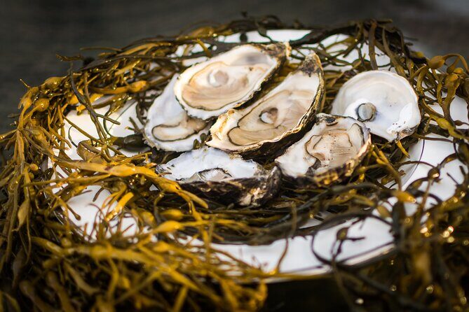 Oyster Farm and Tasting Experience - Is $54.06 a good value for oyster farming and tasting?