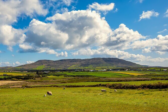 Personalized Full-Day Dingle Peninsula and Slea Head Drive Tour - Fairyfort and the stone circle vibe (with sheep feeding)