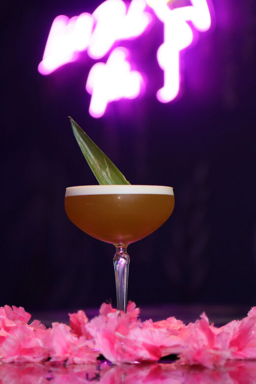 Premium Cocktail Class - Key Highlights You’ll Care About