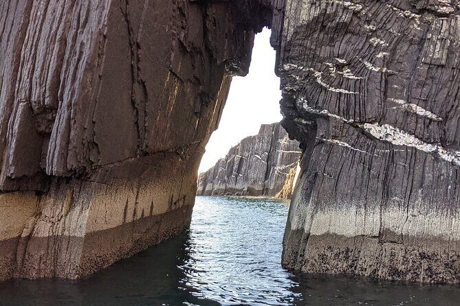 Private 1-Hour Guided Boat Tour in Dingle Peninsula - Quick Take: What Makes This Private Boat Tour Work