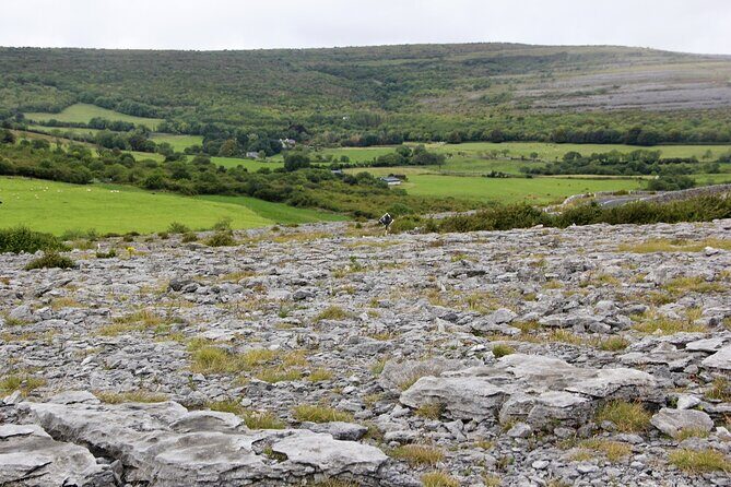 Private Burren and Cliffs of Moher Full Day Tour - Cliffs of Moher: Timing, Views, and the Visitor Centre Choice