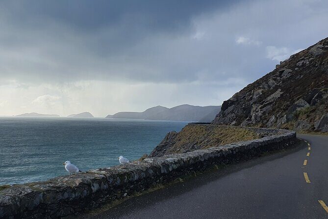 Private Chauffeur Service From Killarney to Shannon Airport - Price and Value: Is $396.46 Worth It for Up to 4?