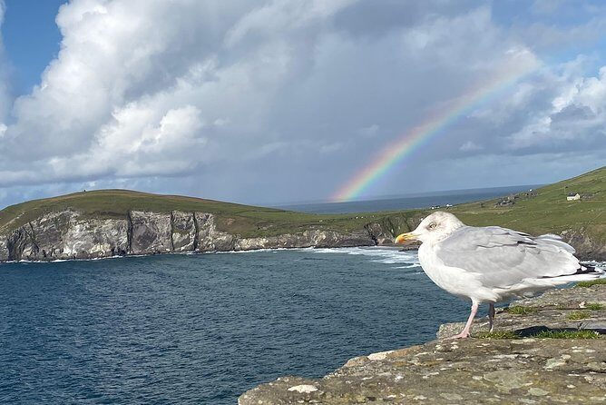 Private Dingle and Slea Head - Price and value: $814.49 per group (up to 6) and who benefits most