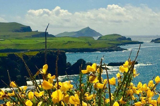 Private Full Day Tour From Killarney - Ring of Kerry/Skellig - Skellig Chocolate Co.: The Quick Stop With Real Payoff