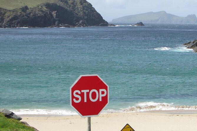 Private Full-Day Tour to Dingle and Slea Head - Dingle Town Lunch Break and the Conor Pass Scenic Drive