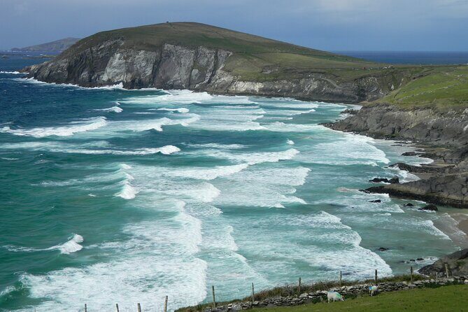 Private Full-Day Tour to Dingle and Slea Head - Blennerville Windmill and Ballyseedy Coffee: Ending the Day on a Gentle Note