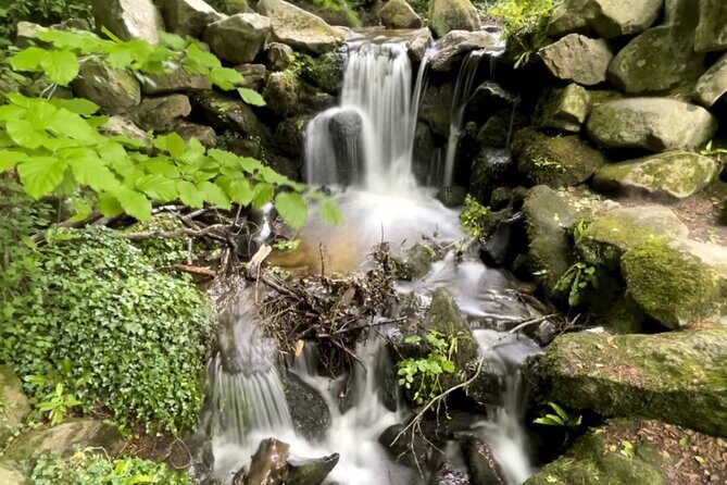 Private Garden of Ireland Wicklow Tour from Dublin - Key Highlights You’ll Actually Care About