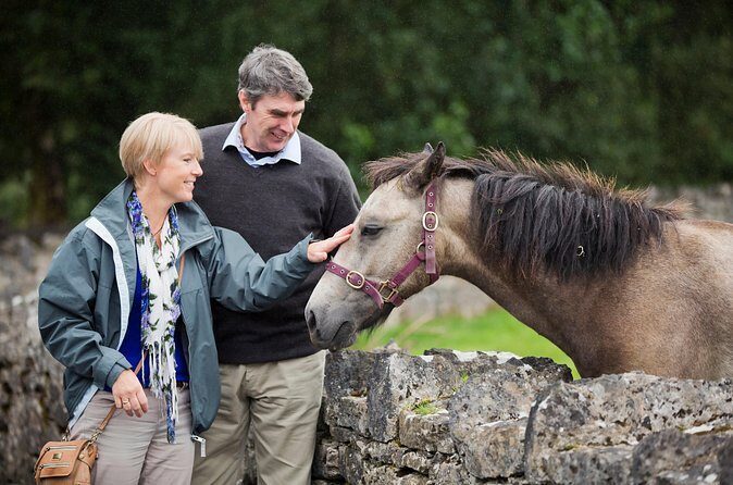 Private Half Day Tour To Connemara - Price and value: $602.39 per group up to 8