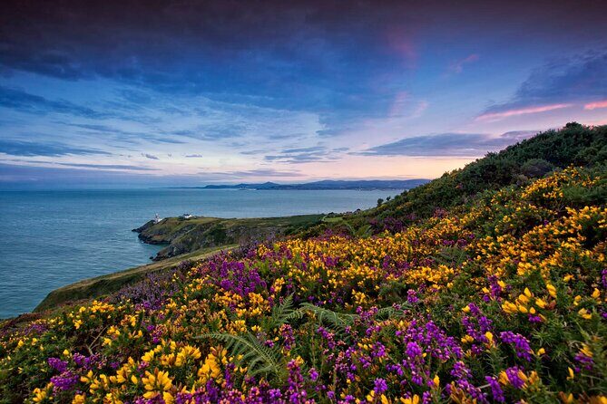 Private Howth Coastal Walk - Abbey Tavern break: plan your fuel, because food isn’t included