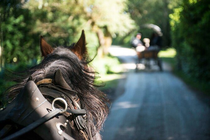 Private Jaunting Tour and Afternoon Tea in Killarney - Price and value: what $121.31 per person is really buying