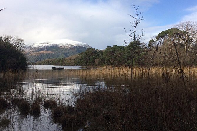 Private Killarney Tour - Torc Waterfall: a 30-minute break that still feels complete