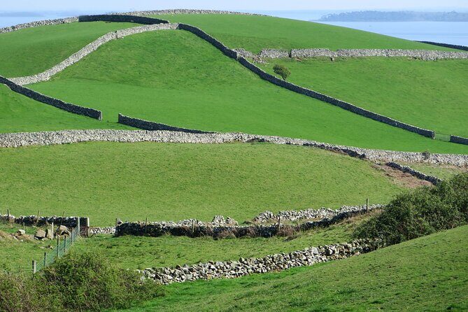 Private Luxury Tour of Newgrange and The Hill of Tara - Flexibility with your itinerary: a guide who adjusts to your interests