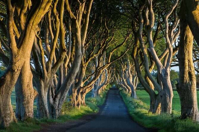 Private Northern Ireland Day Tour from Dublin - Starting from Dublin Airport and using the day efficiently
