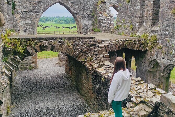 Private Tour from Dublin: Hill of Tara Trim Castle, Celtic sites - Why Hill of Tara, Trim Castle, and Bective Abbey work as a single day