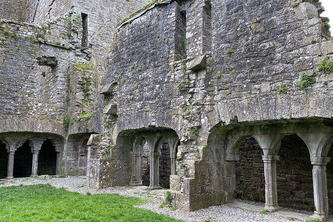Private Tour from Dublin: Hill of Tara Trim Castle, Celtic sites - Bective Abbey ruins: a guided maze, plus picnic tea and treats