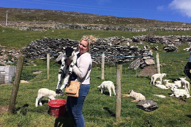 Private tour of Dingle and Slea Head with accredited guide - The small details that affect comfort and smoothness