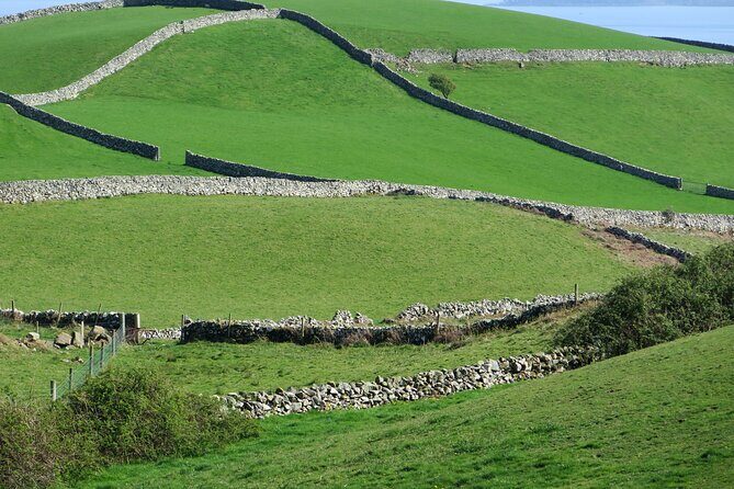 Private Tour of Newgrange and The Hill of Tara - The guide factor: Noel and Miriam-style storytelling