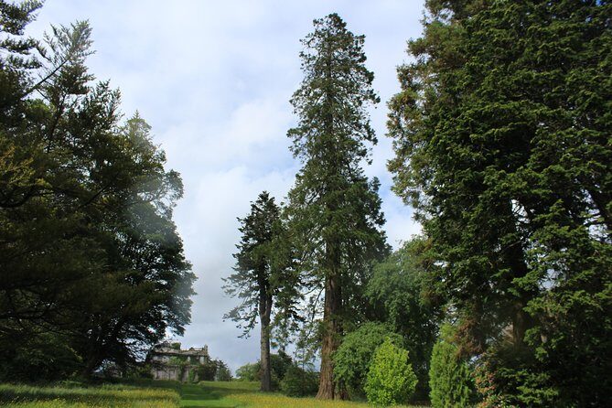 Private Wicklow Mountains Day Tour - Powerscourt House & Gardens: coffee, crafts, then the real garden time