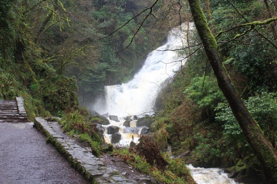 Private Wild Atlantic Day Tour from Cork - Who should book this tour from Cork?