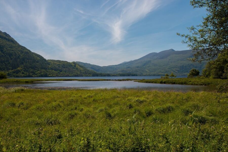 Rail Tour from Dublin: The Ring of Kerry - Stops between the big sights: coffee breaks, sheep demonstrations, and detours