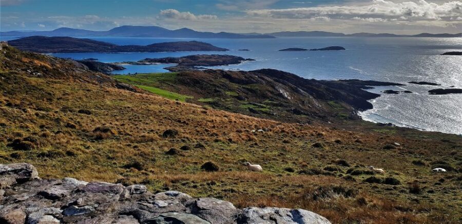 Rail Tour from Dublin: The Ring of Kerry - Carrauntoohil and the MacGillycuddy Reeks: the mountain moment