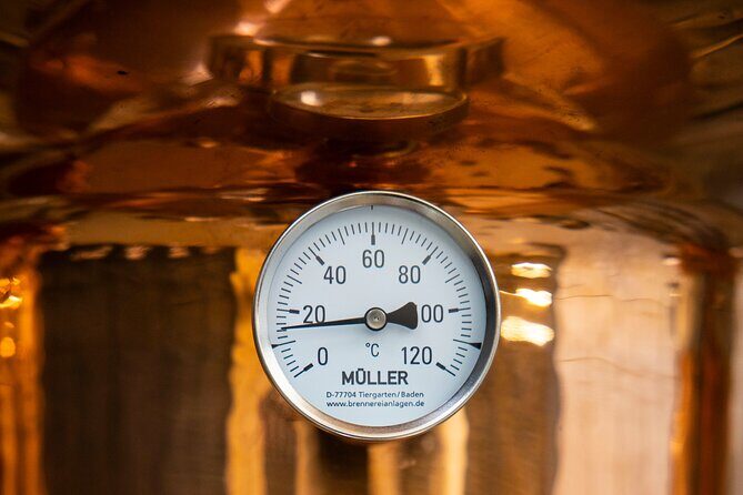 Rebel City Distillery Tour - The 1-hour rhythm: what you’ll do from start to finish