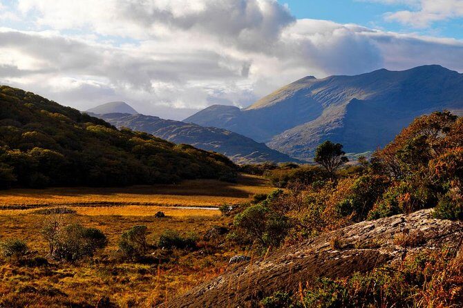 Ring of Kerry Day Tour from Cork: Including Killarney National Park - Cork to Killarney: what the morning coach ride is really like