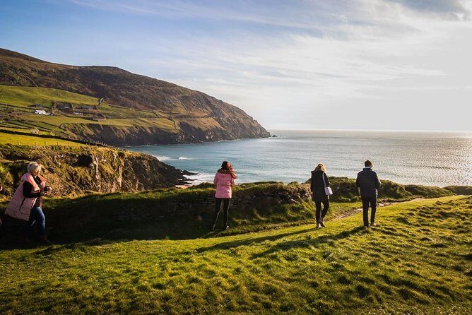 Ring of Kerry Day Tour from Cork: Including Killarney National Park - Killorglin and the Puck Fair: a goat-king tradition with real roots
