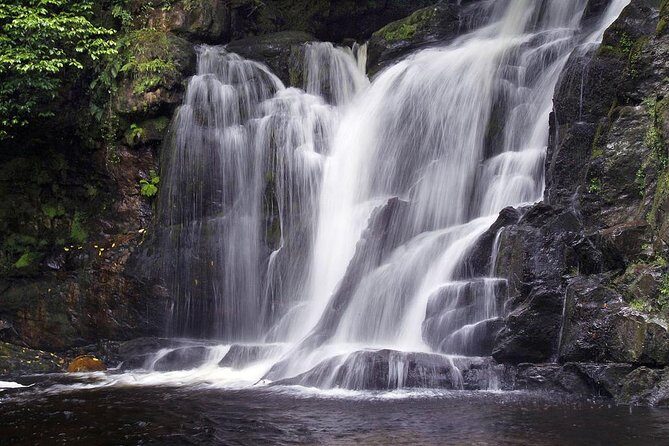 Ring of Kerry Day Tour from Limerick: Including Killarney National Park - Getting to the Bus: Pickup Times You Must Confirm