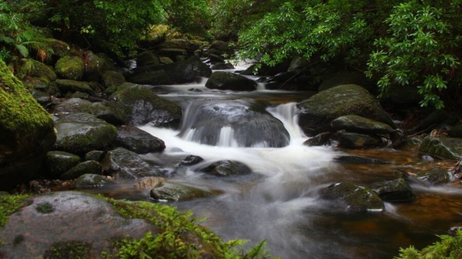 Ring of Kerry Full-Day Tour from Limerick - Torc Waterfall and Friars Glenn: your mid-afternoon reset