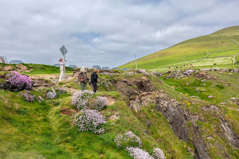 Ring of Kerry & Kerry Cliffs: Private Tour from Killarney - Molls Gap and Ladies View: Classic Viewpoints, Timed for Your Legs