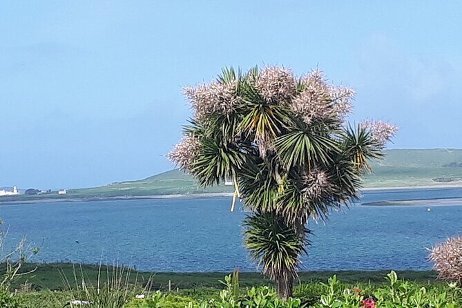 Ring of Kerry Private Tour - Key highlights to look for on this Ring of Kerry private tour