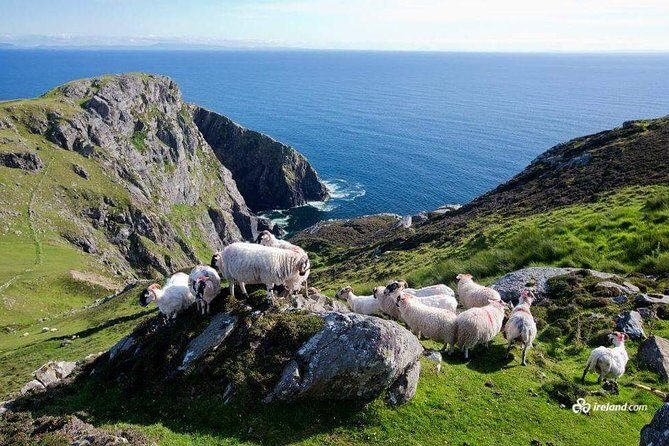 Ring of Kerry & Skellig Ring Private Day Tour - Key Things That Make This Private Ring of Kerry Day Work