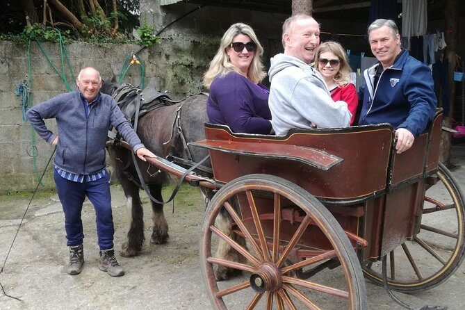 Ring of Kerry Tour Private Chauffeur Driven From Killarney - The 7–9 hour rhythm: when the day moves and how you can plan