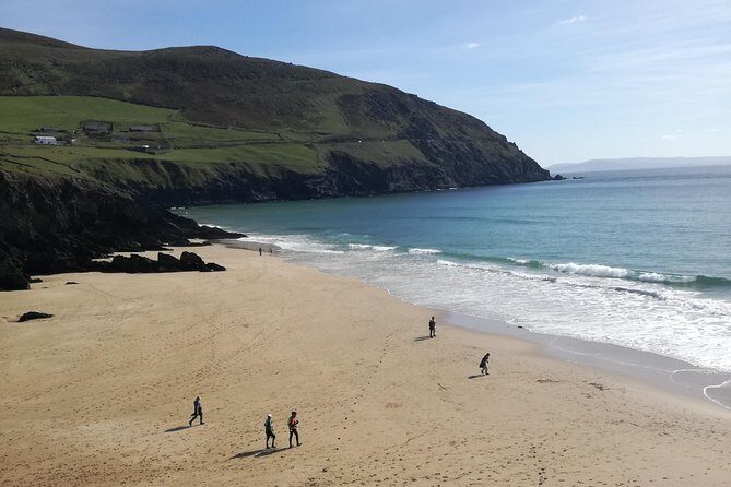 Ring of Kerry Tour Private Chauffeur Driven From Killarney - Kerry Cliffs: Skelligs views, a short walk, and the fog factor