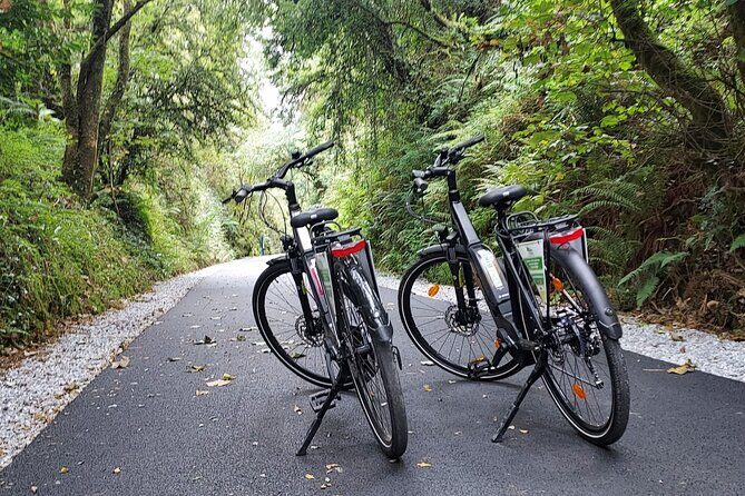 Self Guided Bike Tour on the Limerick Greenway - Timing: why 7 hours feels like the sweet spot