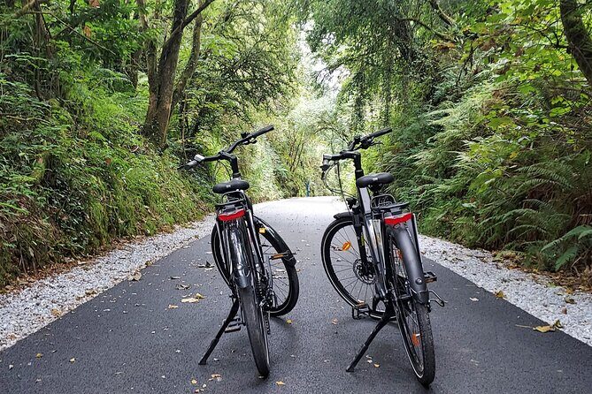 Self Guided Bike Tour on the Tralee to Fenit Greenway - Why the Tralee to Fenit Greenway feels so doable