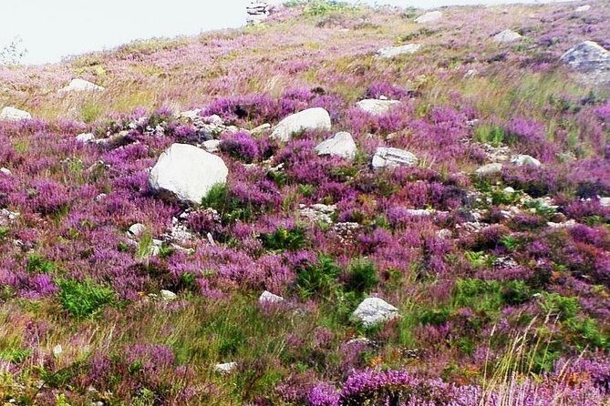 Self Guided Electric Bike Tour of Historical Sites in the Burren Co Clare - What the included “extras” do for you on the day