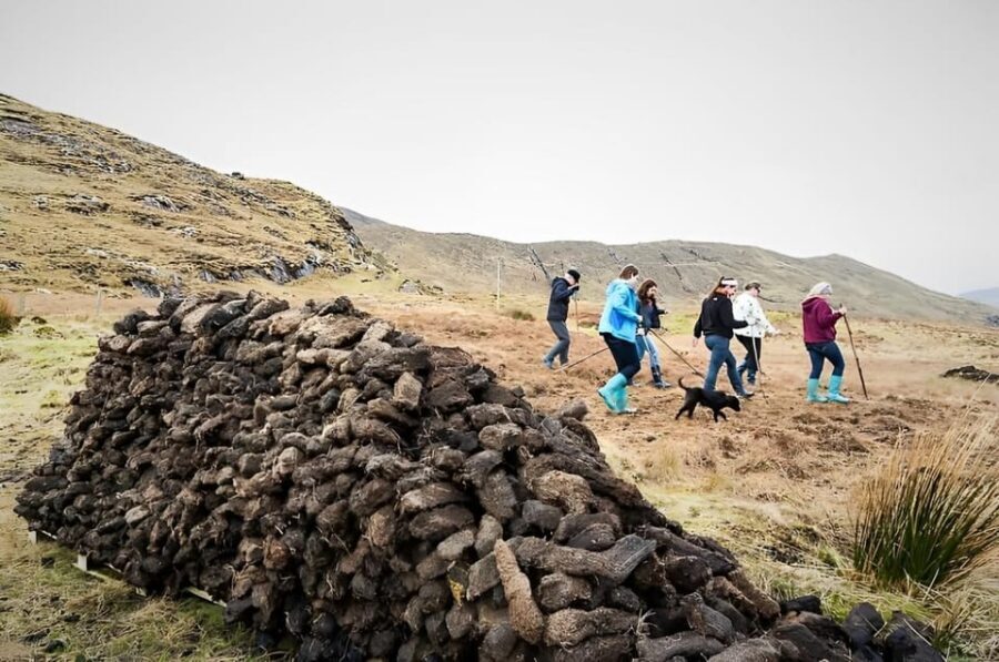 Sheepdog herding demo on working sheep farm. Galway. Guided. - From Leenane to a working Connemara mountain sheep farm