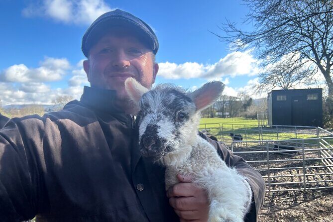 Sheepdogs in the countryside, authentic Dubliners city tour combo - Why this Dublin-and-Wicklow combo fits your time best