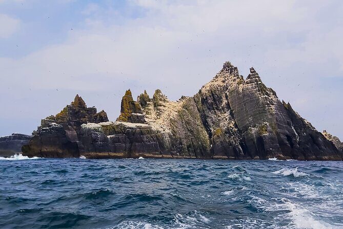 Skellig Michael : Ultimate Skellig Coast Tour with AquaTerra - Price, Value, and Who This Tour Fits Best