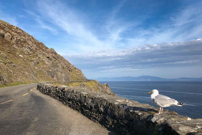 Slea Head Photo & Sightseeing Tour - Why this Slea Head Drive tour works better than a big-bus day