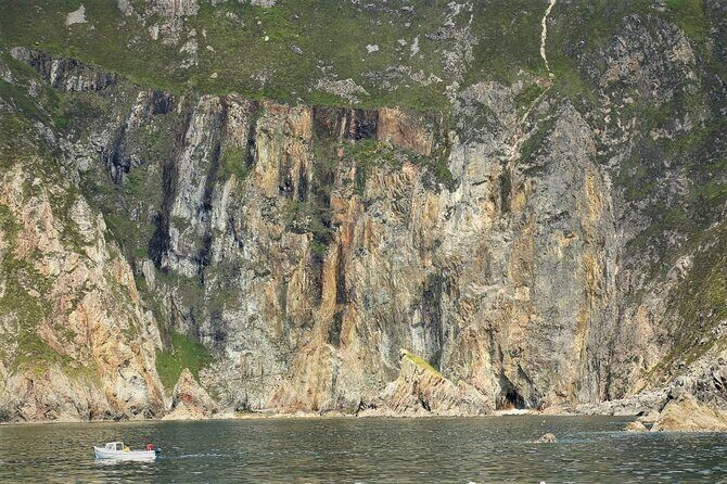 Slieve League cliffs cruise. Donegal. Guided. 1 ¾ hours. - Donegal Bay wildlife: dolphins are the big hope
