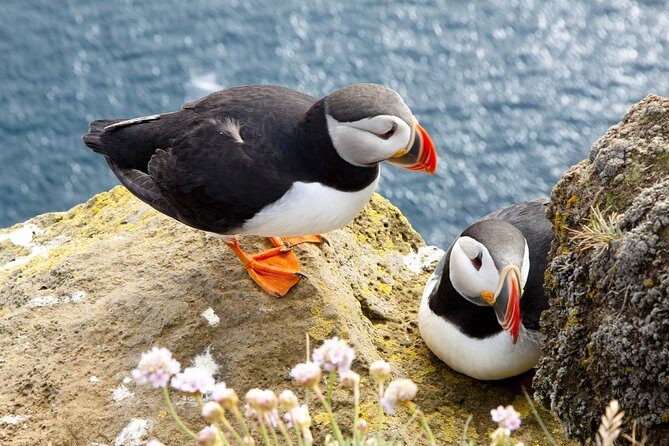 Small Group - Cliffs Cruise, Aran Islands AND Connemara in One Day from Galway - From Galway’s Hyde Hotel to Doolin Pier: The Start Feels Like a Real Road Trip